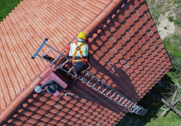 Best Roof Maintenance and Cleaning  in Westfield, WI